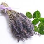 Lavender Mint lip balm, all..